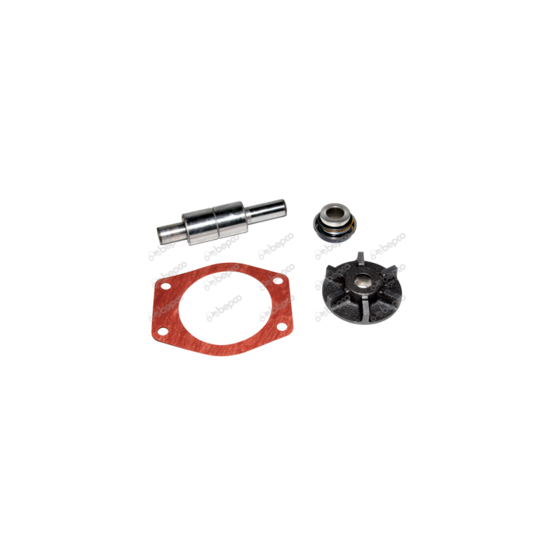 Reperationss�t - vandpumpe