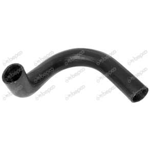 K�lerslange - Bund