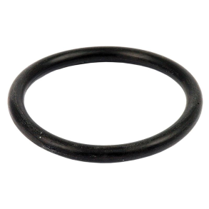O-Ring 3/16'' Lift Aksel