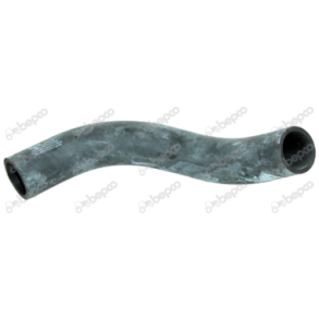 K�lerslange - Bund