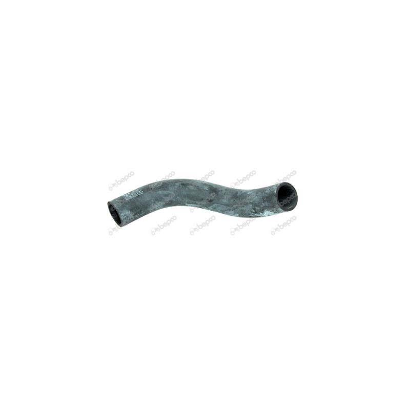 K�lerslange - Bund