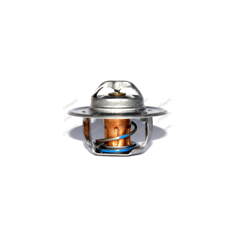 Termostat - 74 grader (23C diesel)