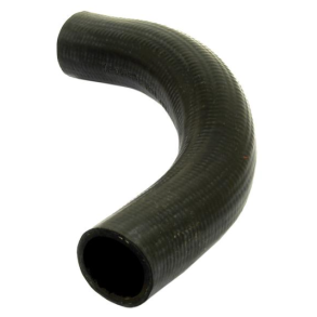 K�lerslange - Bund