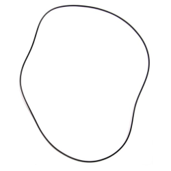 Differentiale O Ring