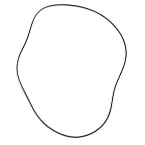 Differentiale O Ring