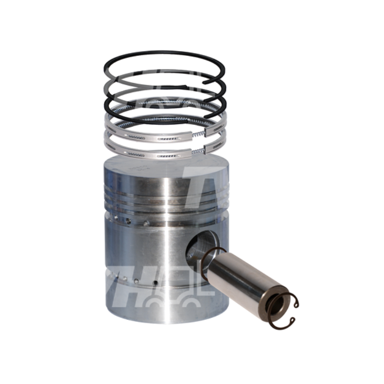 Stempel og Ringe til St�bejerns Foring