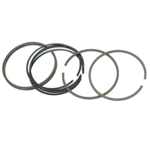 Stempelring s�t st�bt til Chrome Foring