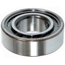 Differentiale tandhjulsleje