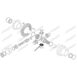 Differentiale tandhjul