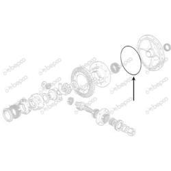 Differentiale O Ring