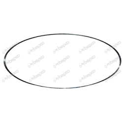 Differentiale O Ring