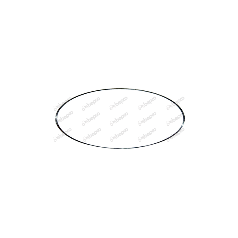 Differentiale O Ring